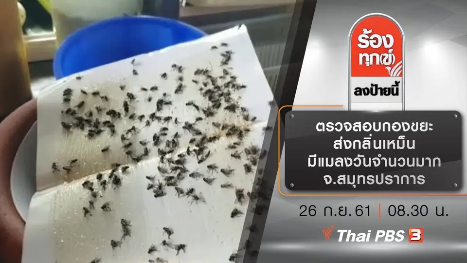 ตรวจสอบกองขยะ ส่งกลิ่นเหม็น มีแมลงวันจำนวนมาก จ.สมุทรปราการ