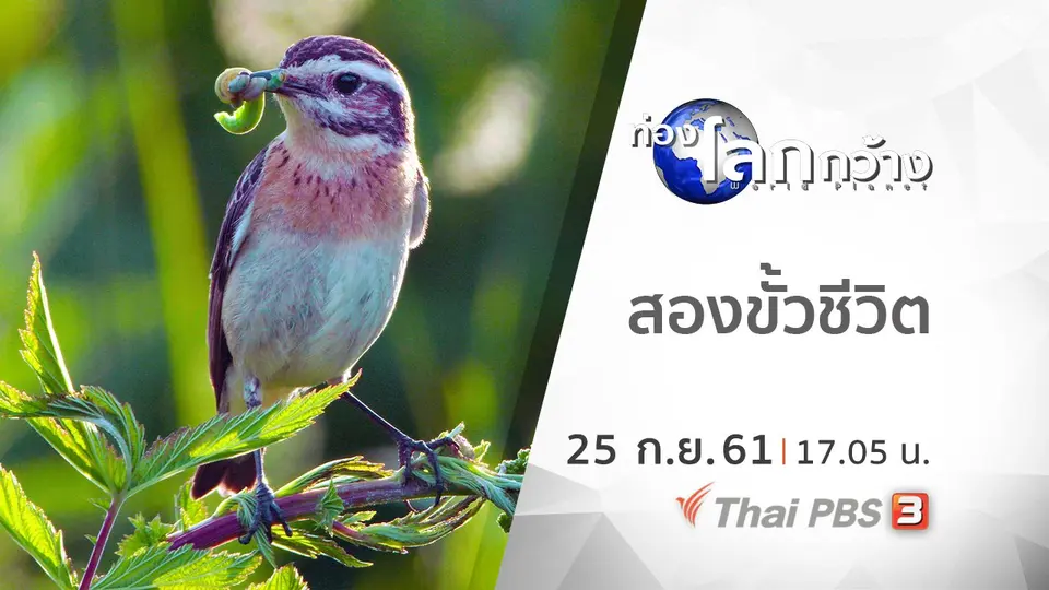 ท่องโลกกว้าง