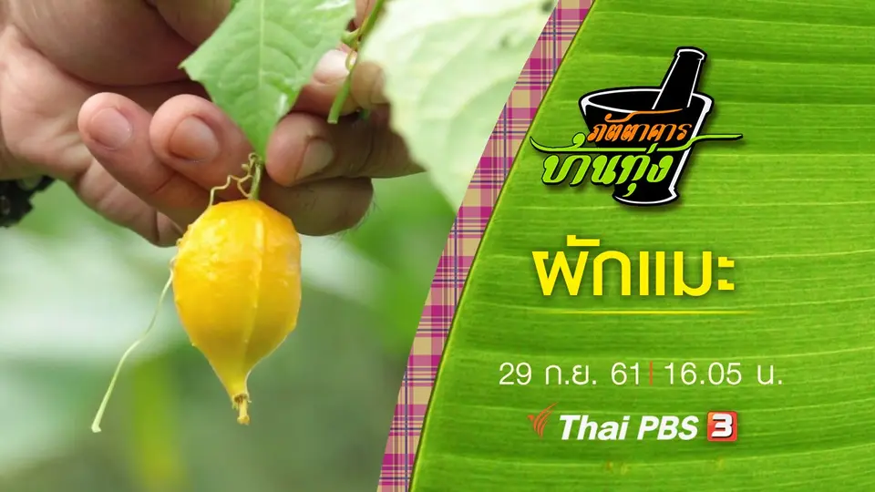 ผักแมะ