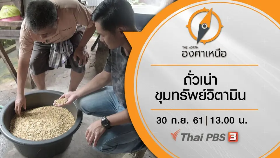 ถั่วเน่า ขุมทรัพย์วิตามิน