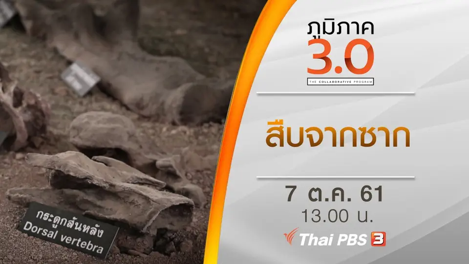 สืบจากซาก