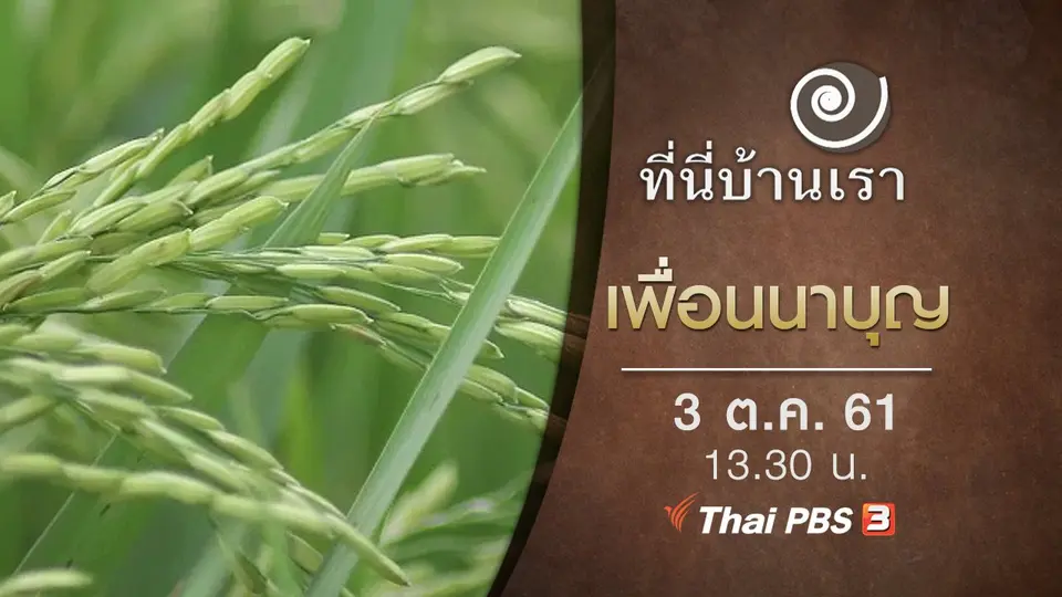 ที่นี่บ้านเรา