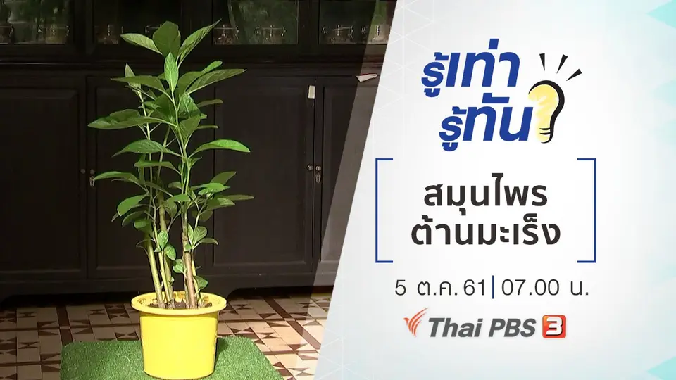 สมุนไพร ต้านมะเร็ง