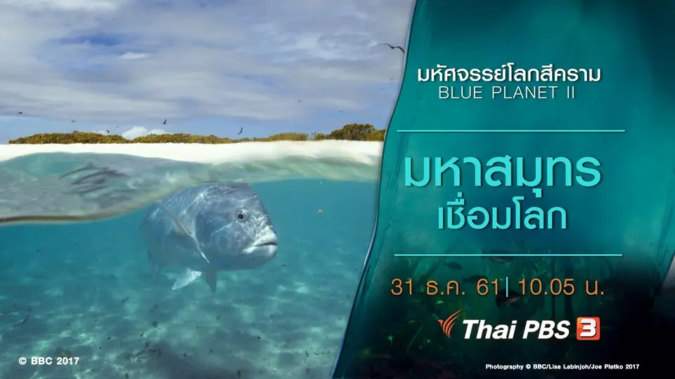 มหัศจรรย์โลกสีคราม BLUE PLANET II