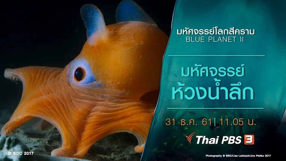 มหัศจรรย์โลกสีคราม BLUE PLANET II