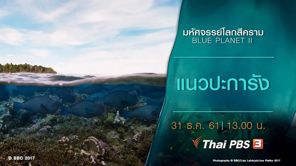 มหัศจรรย์โลกสีคราม BLUE PLANET II