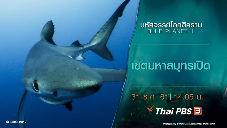 มหัศจรรย์โลกสีคราม BLUE PLANET II