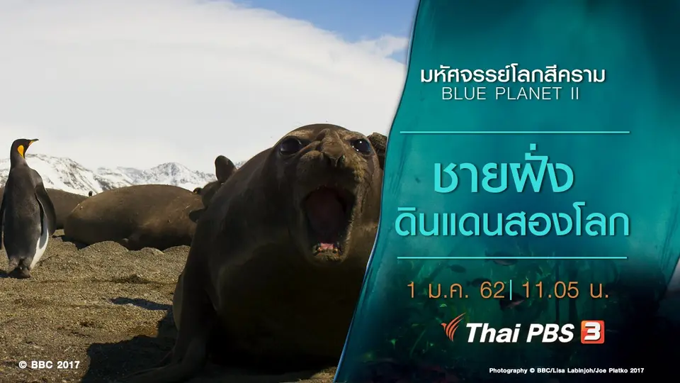มหัศจรรย์โลกสีคราม BLUE PLANET II