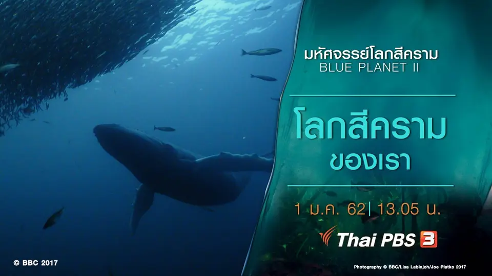 มหัศจรรย์โลกสีคราม BLUE PLANET II