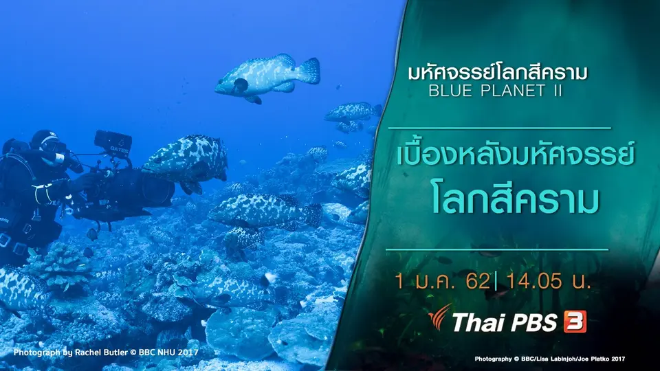 มหัศจรรย์โลกสีคราม BLUE PLANET II