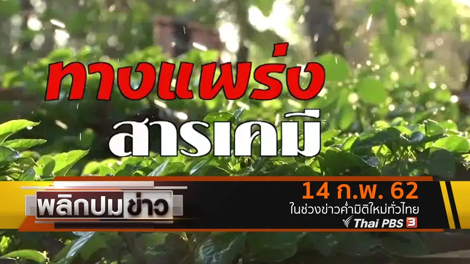 ทางแพร่งสารเคมี