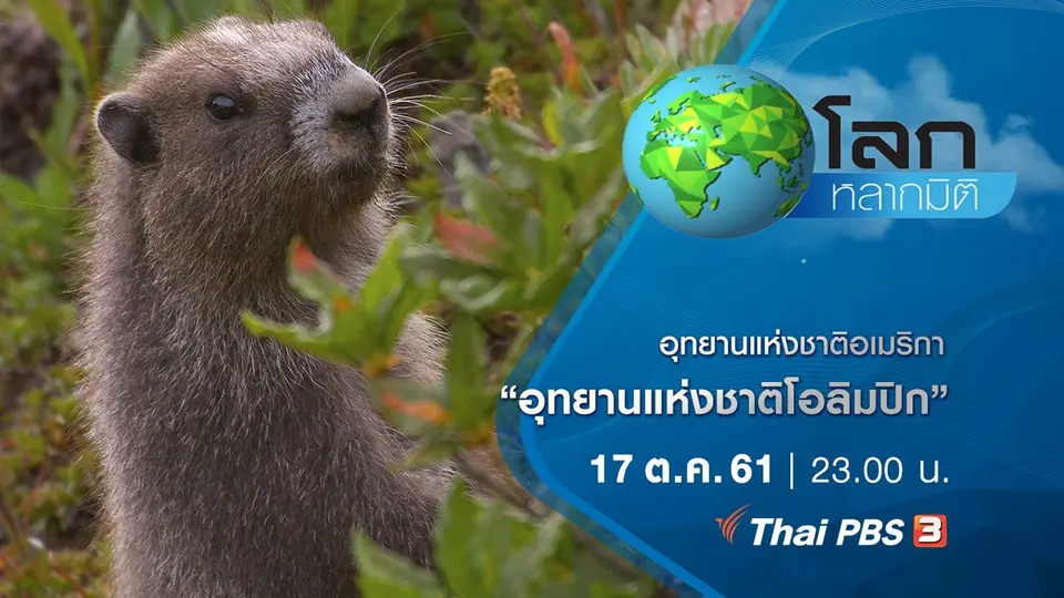 โลกหลากมิติ