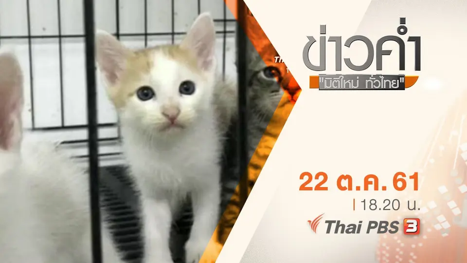 ประเด็นข่าว ( 22 ต.ค. 61)