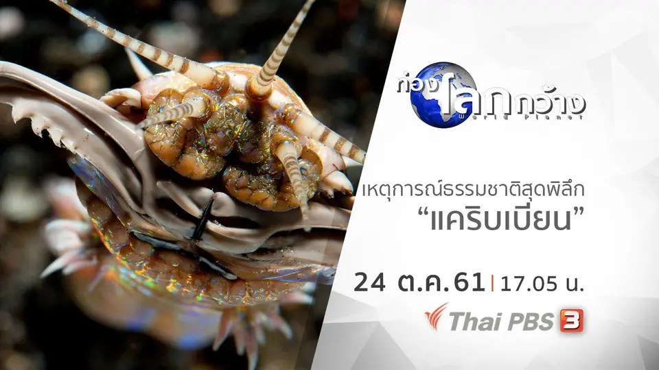 ท่องโลกกว้าง