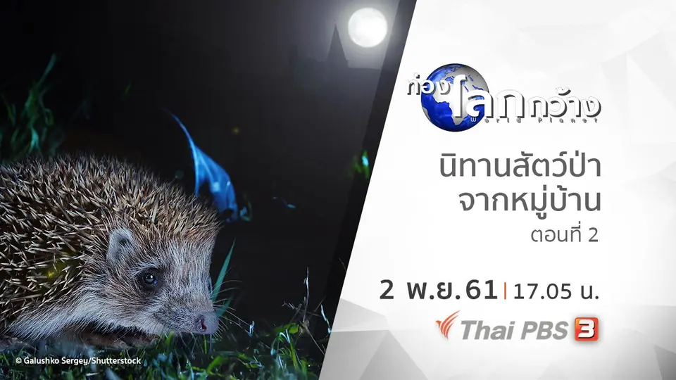 ท่องโลกกว้าง