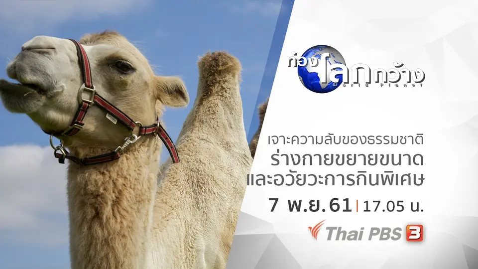ท่องโลกกว้าง