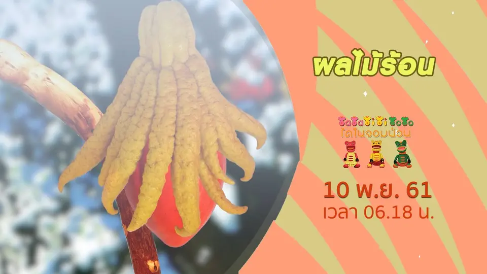 TataTitiToto ไดโนจอมป่วน