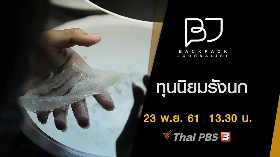 ทุนนิยมรังนก