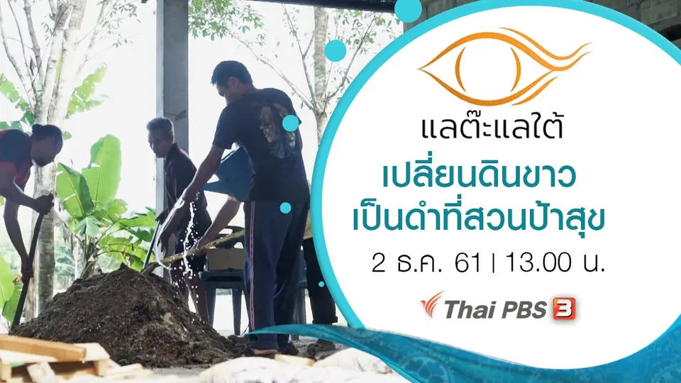 เปลี่ยนดินขาวเป็นดำที่สวนป้าสุข
