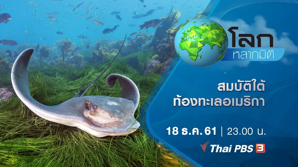 โลกหลากมิติ