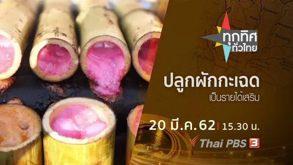 ทุกทิศทั่วไทย