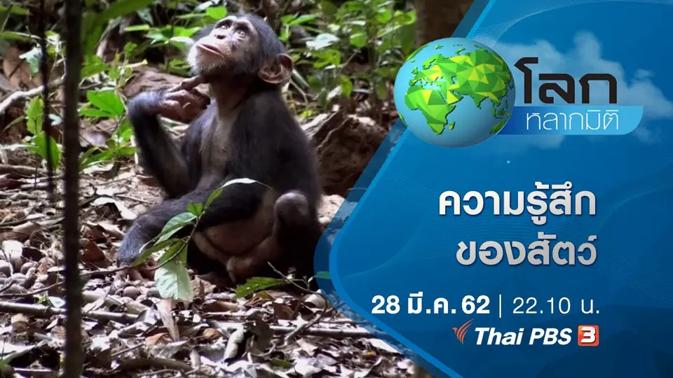 โลกหลากมิติ
