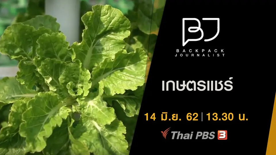 เกษตรแชร์