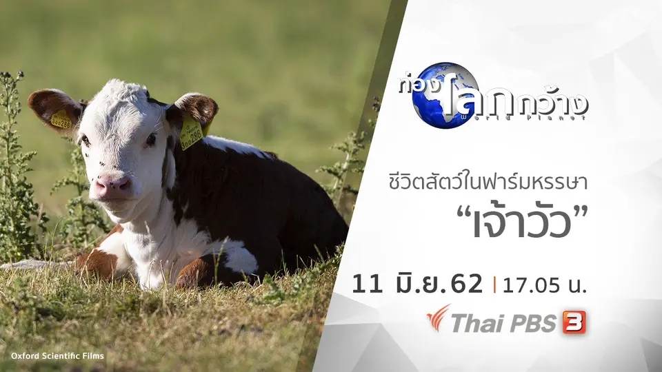 ท่องโลกกว้าง