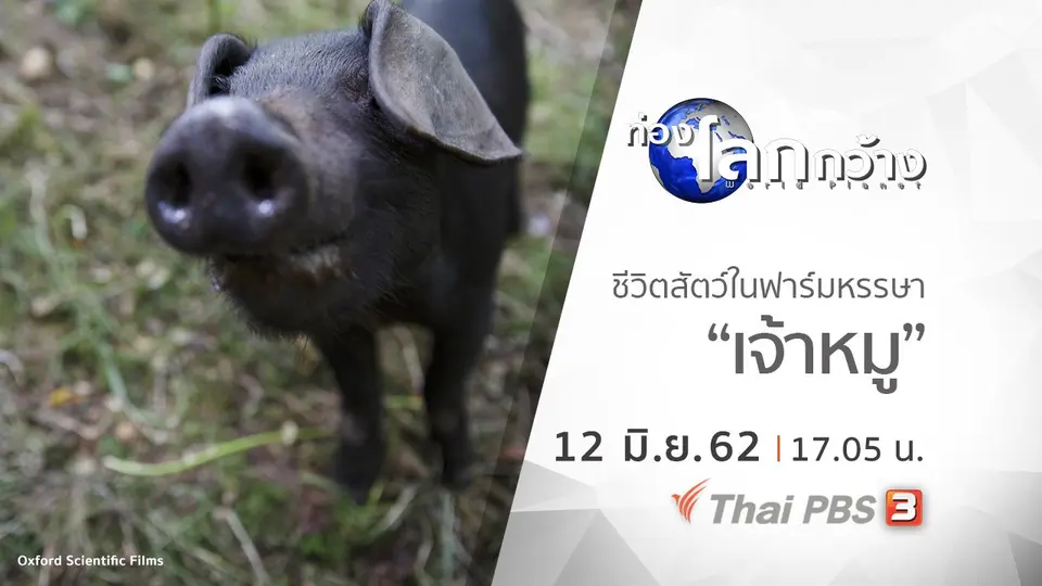 ท่องโลกกว้าง
