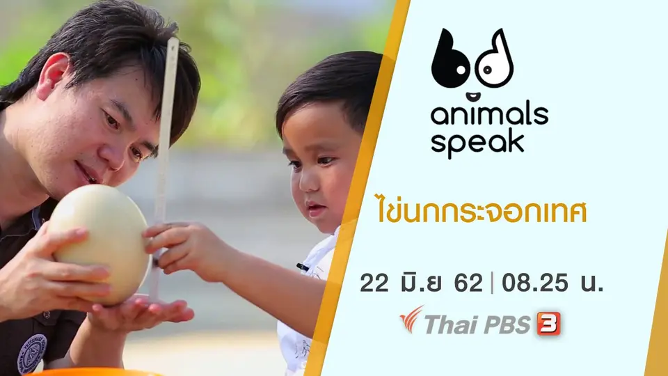Animals Speak