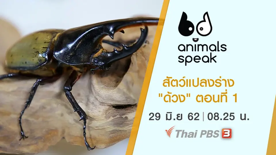 Animals Speak