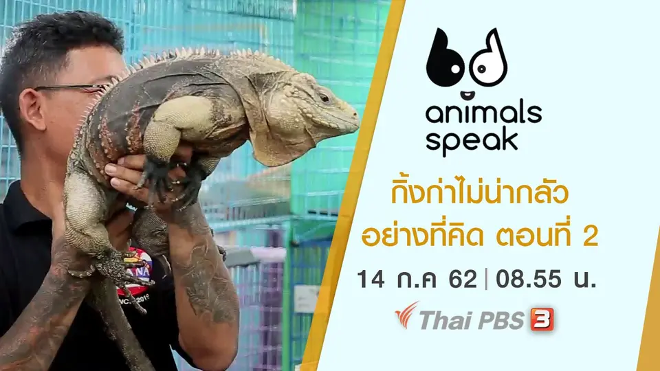Animals Speak