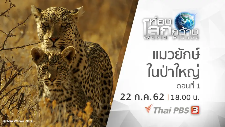 ท่องโลกกว้าง