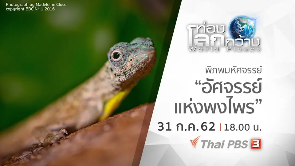 ท่องโลกกว้าง
