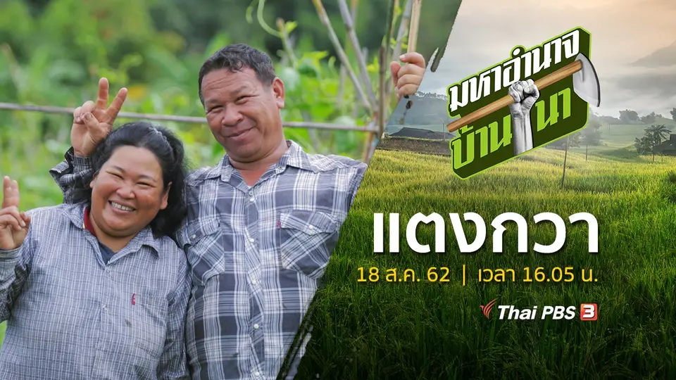 แตงกวา