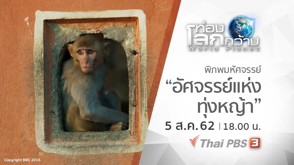 ท่องโลกกว้าง