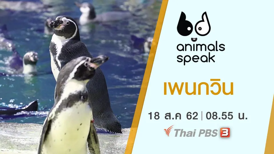 Animals Speak