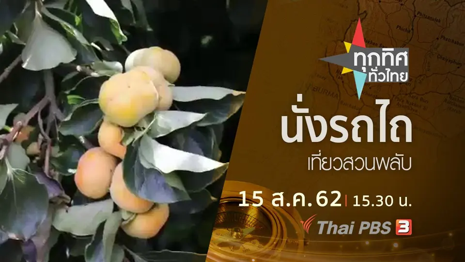 ประเด็นข่าว (15 ส.ค. 62)