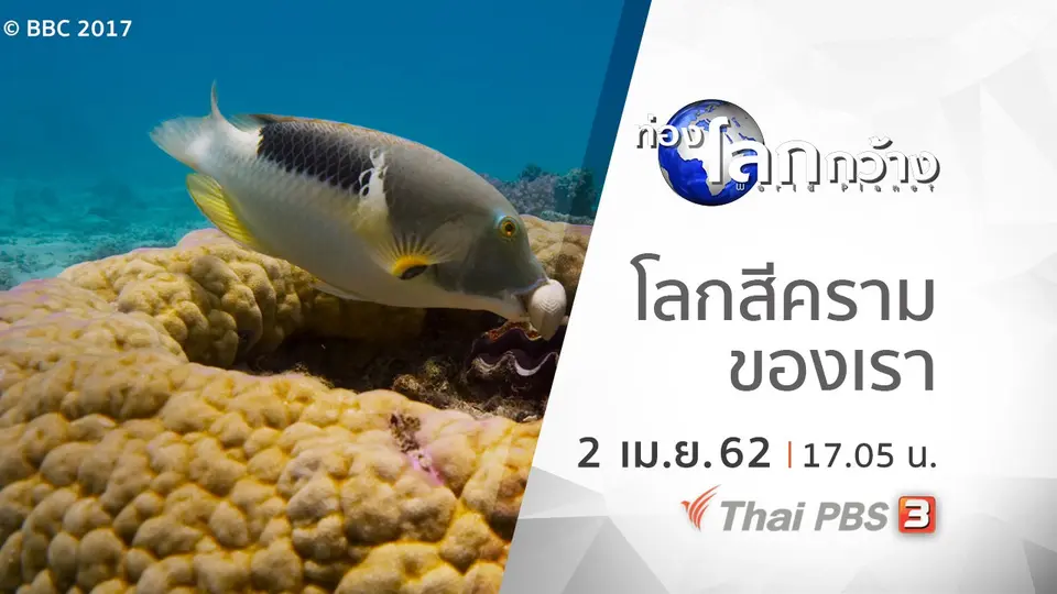 ท่องโลกกว้าง