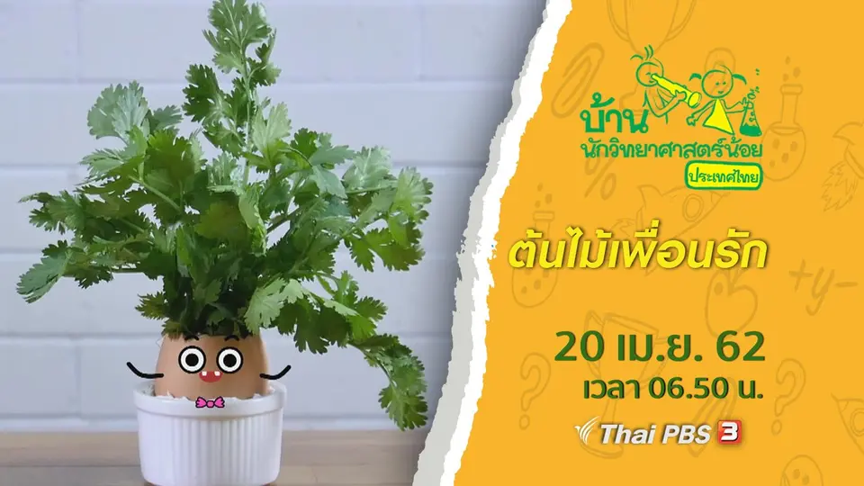 ต้นไม้เพื่อนรัก