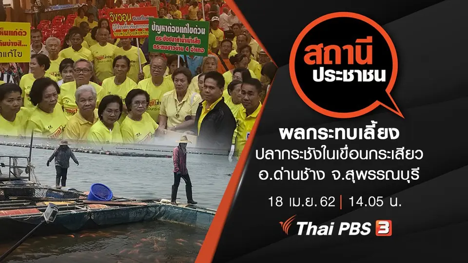 ผลกระทบเลี้ยงปลากระชังในเขื่อนกระเสียว อ.ด่านช้าง จ.สุพรรณบุรี​​