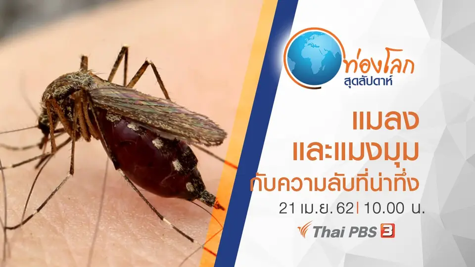 ท่องโลกสุดสัปดาห์