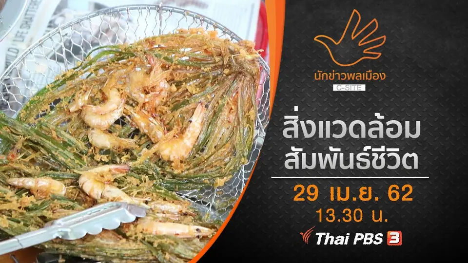 สิ่งแวดล้อมสัมพันธ์ชีวิต