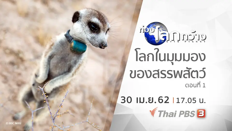 ท่องโลกกว้าง