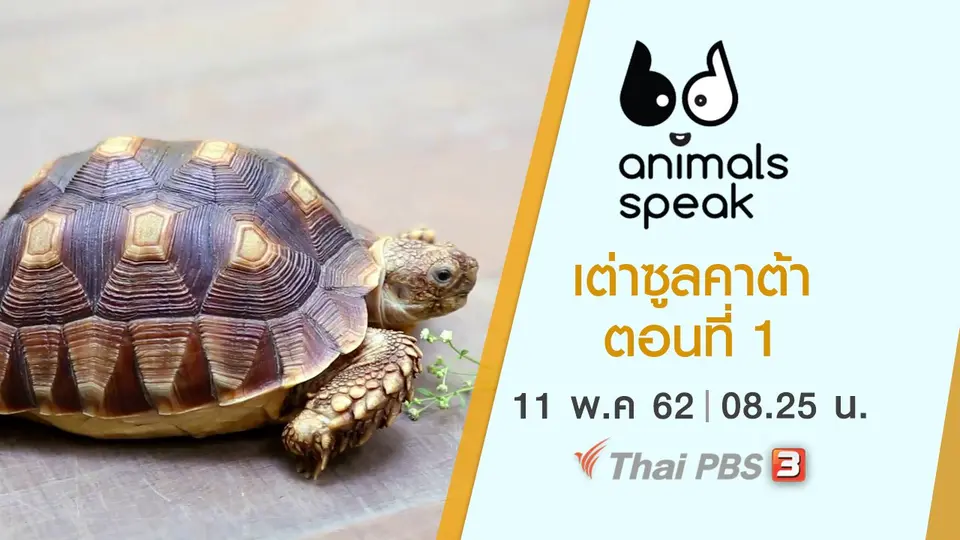 Animals Speak
