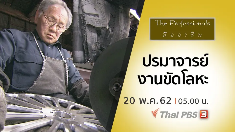 มืออาชีพ