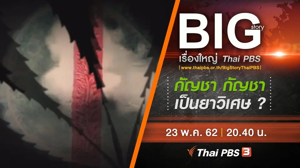 กัญชา กัญชา เป็นยาวิเศษ ?