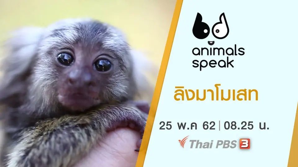 Animals Speak