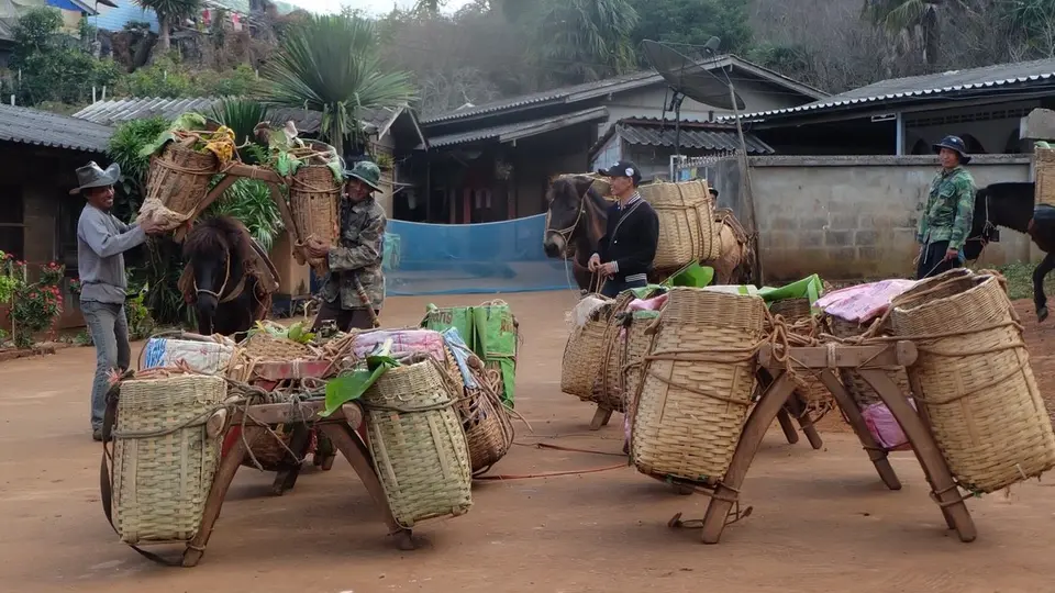 ซีรีส์วิถีคน
