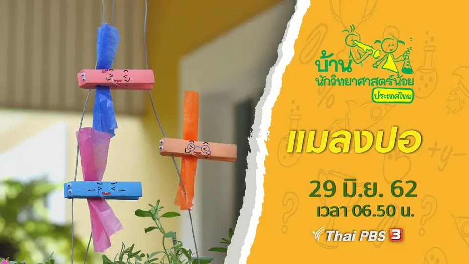 แมลงปอ